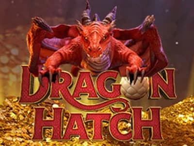 Dragon Hatch