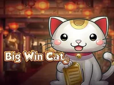 Big Win Cat