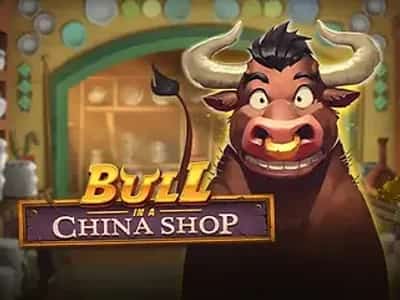 Bull in a China Shop