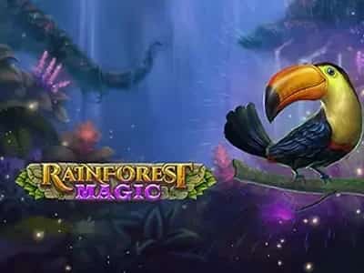 Rainforest Magic